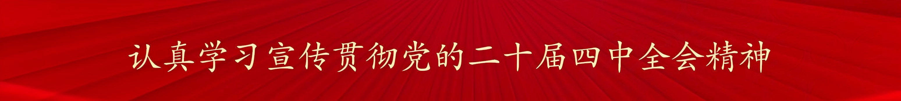 学习党的二十届四中全会精神